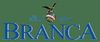 Fratelli branca distillerie