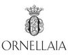 Tenuta dell ornellaia